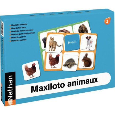 Maxiloto animaux