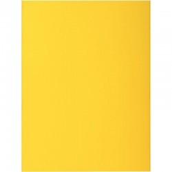 Paquet de 10 chemises 210 g ROCK"S EXACOMPTA citron