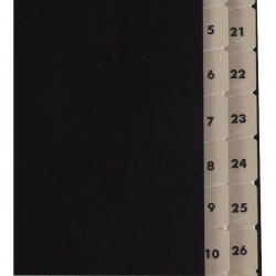 Trieur balacron numérique 31 compartiments noir