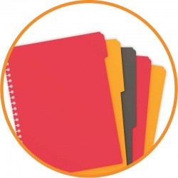 Cahier SCRIBZEE Managerbook A4+ réglure projet 160 pages perforées OXFORD