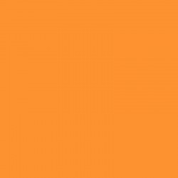 Crayon de couleur STABILO woody orange