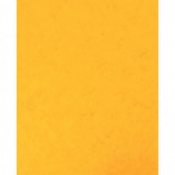Protège-cahier en carte lustrée jaune, format 18 x 22 cm