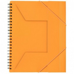 Cahier SCRIBZEE Organiserbook 5x5 A4+ OXFORD