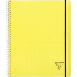 Cahier-trieur Linicolor Fresh Proactiv'Book 160 pages 5x5 A4+ CLAIREFONTAINE