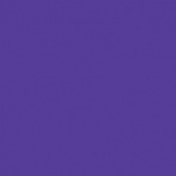 Roller PILOT FriXion ball violet