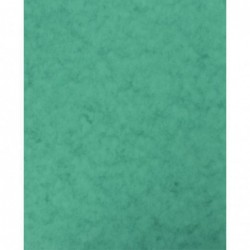 Protège-cahier en carte lustrée vert, format 18 x 22 cm