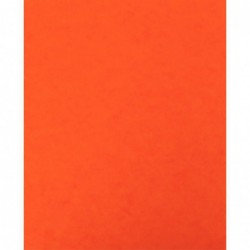 Protège-cahier en carte lustrée orange, format 18 x 22 cm