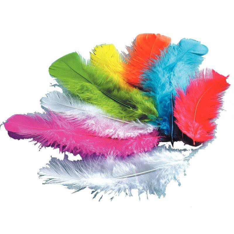Sachet de 250 g de plumes de dinde coloris assortis