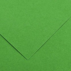 Paquet de 10 feuilles de papier Colorline CANSON 50 x 65 cm 150 g vert franc