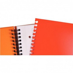 Cahier SCRIBZEE Filingbook 5x5 A4+ OXFORD