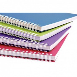 Cahier Linicolor Intensive 100 pages 5x5 A4 CLAIREFONTAINE