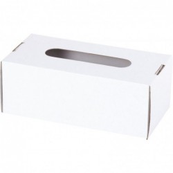 Lot de 10 boîtes à mouchoir en carton blanc à monter et décorer