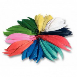 Sachet de 100 g de plumes d'indien couleurs assorties