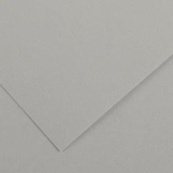 Paquet de 10 feuilles de papier Colorline CANSON 50 x 65 cm 150 g gris clair