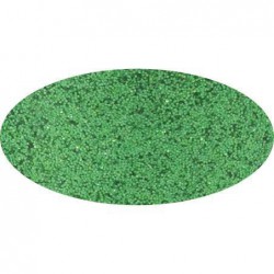 Salière de 100 g de poudre scintillante vert